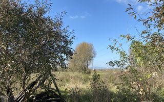 Teren 42 de ari | Andronic Motrescu - Poză 1