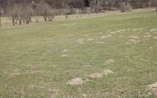 Teren Sebesul de Sus I 1100 mp I facilitati in apropiere - Poză 18