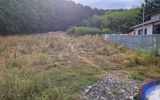 AZURA Imobiliare - Vanzare teren Hintesti, langa padure, 300m din DN - Poză 7