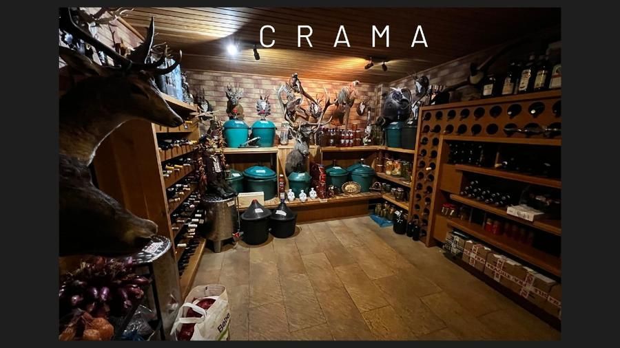Vila grandioasa, Gradina Japoneza, SPA, Crama, Teren Tenis, Foisor, Iaz Pesti - Poză 13