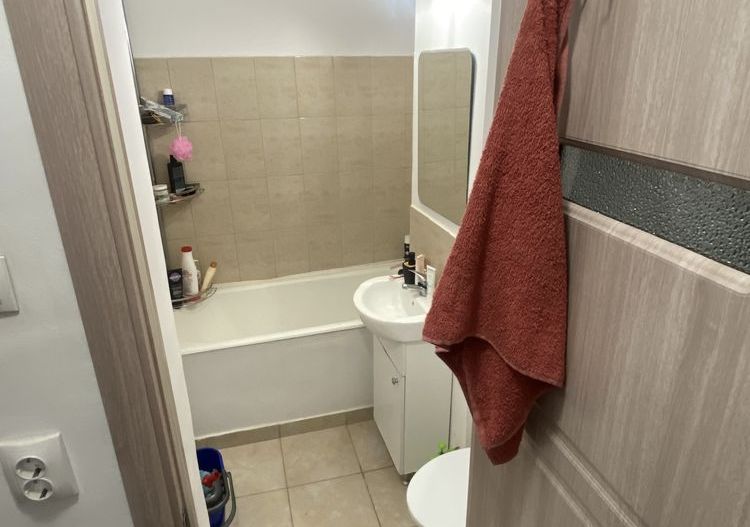 Universitatea Politehnica- apartament mobilat si utilat - Poză 7