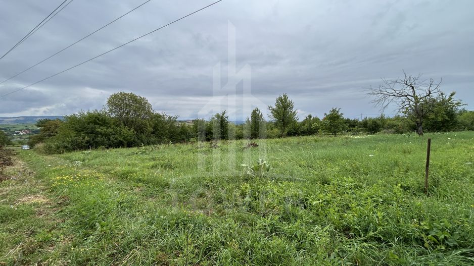 Teren intravilan de vânzare în Daia Nouă – 1.000 mp - Poză 1