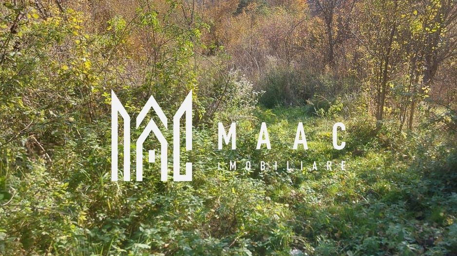 5000 teren in Muntii Apuseni I Pregatit pentru constructie - Poză 9