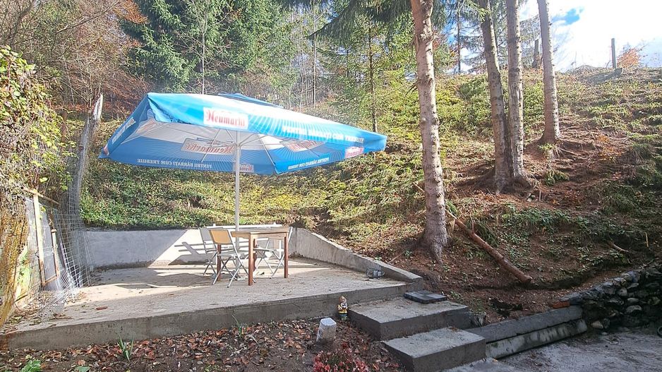 Vanzare Casa de Vacanta, Rucar - Poză 10