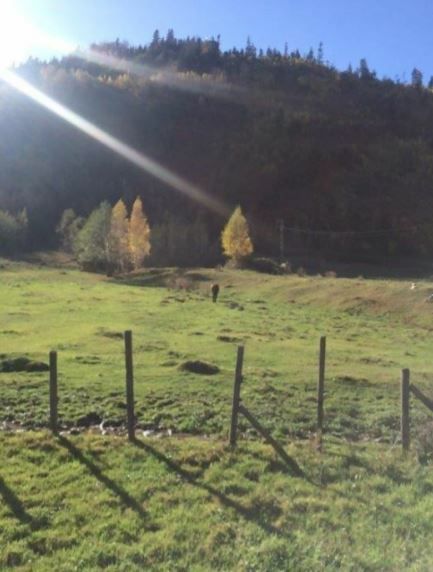 Teren Leresti - Poză 3