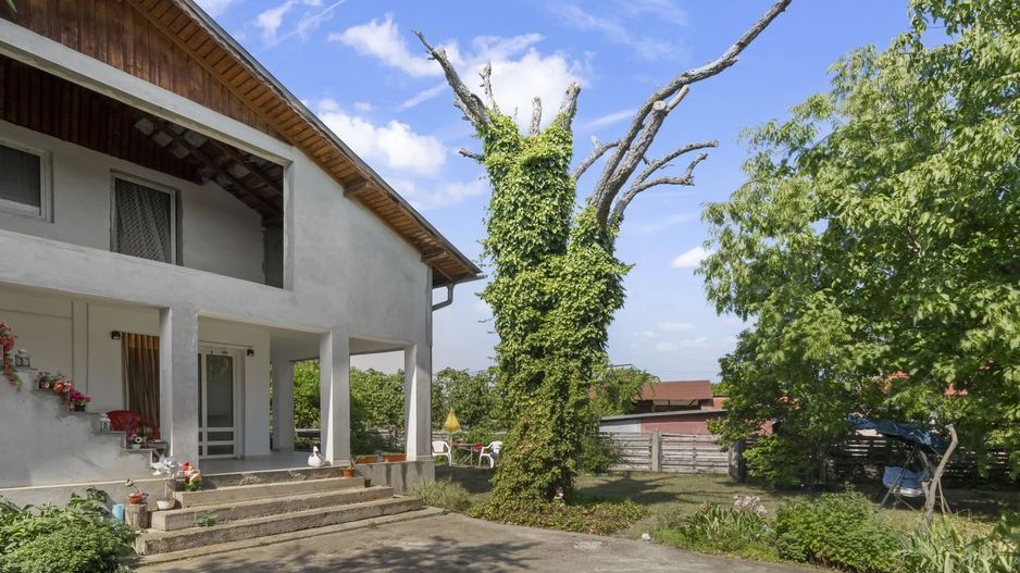 Casa P+M in Ciolpani - Snagov, oaza de liniste si verdeata - Poză 2