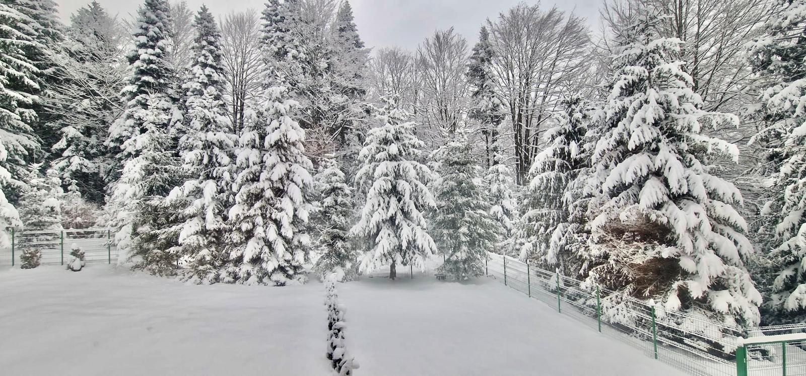 Casa de vacanta la liziera padurii cu vedere libera catre muntii Bucegi - Poză 12