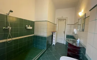 VILA SUPERBA LA INCHIRIERE PRETABILA CA SPATIU DE BIROU SAU REZIDENTA - Poză 32