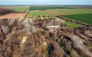 Ferma si livada de meri in judetul Ilfov - Poză 15