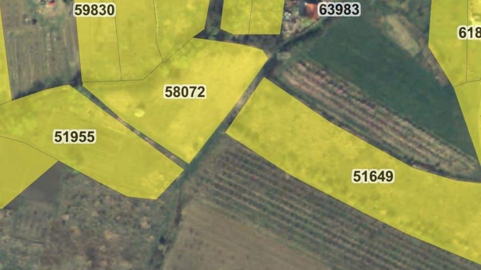 Teren intravilan Saldabagiu de Munte 850 mp - Poză 5