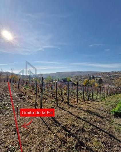 🏡 Teren intravilan 1308 mp Rediu | 9 min (5.8km) Copou / 9 min (5.8km) Pacurari - Poză 2