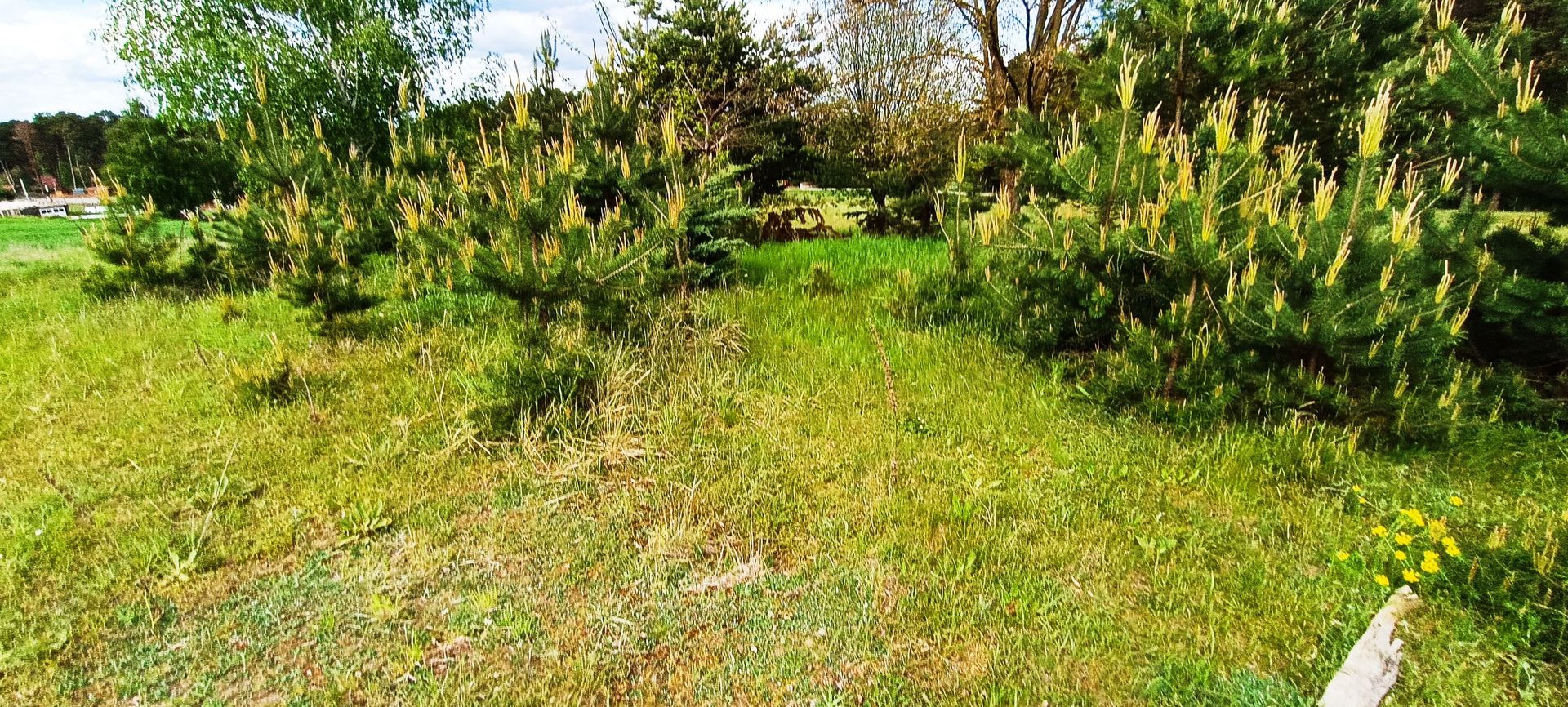 Teren in localitatea Reci,langa lacuri - Poză 11
