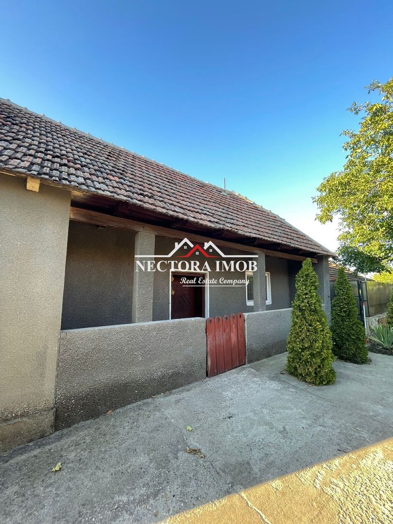 NECTORA IMOB-Casa 4 camere, Santandrei Centru, 138mp utili+990mp teren - Poză 2