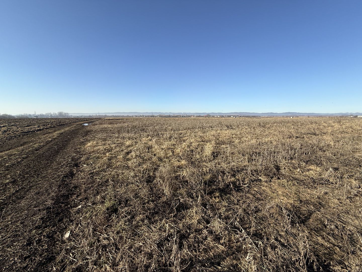 Teren extravilan | Rădăuți | 600 m de centură | 20 m front - Poză 6