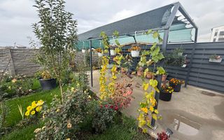 Casă de vânzare Magnolia - Poză 9