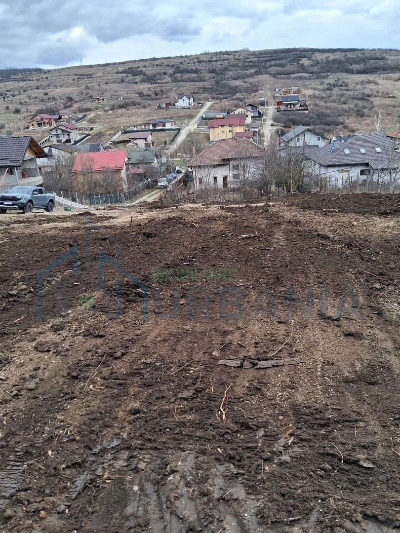Teren intravilan Dorobanti - Poză 8