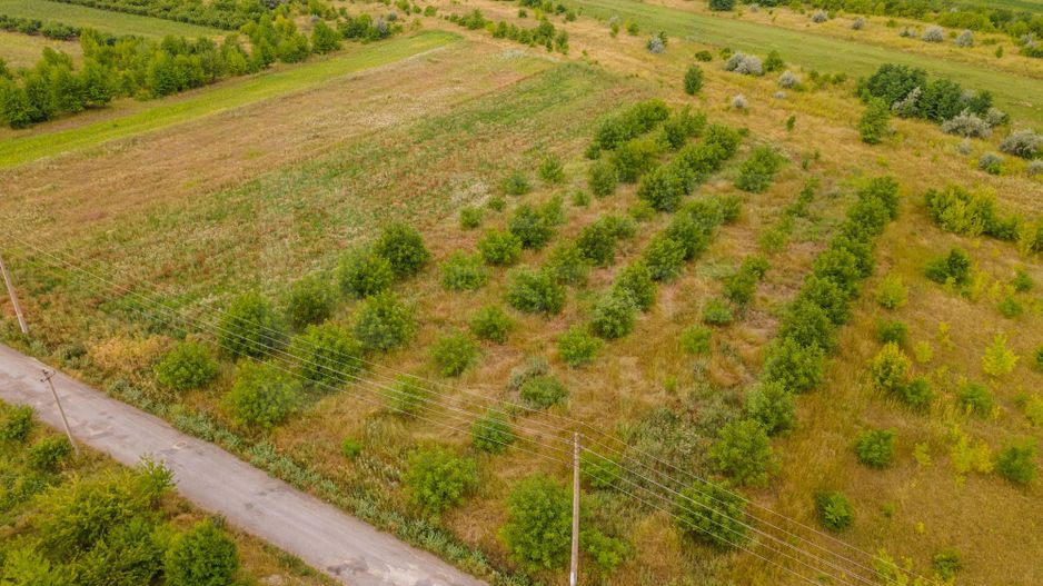 Vânzare, teren, 50 ari, str. Tineretului, Trușeni - Poză 5