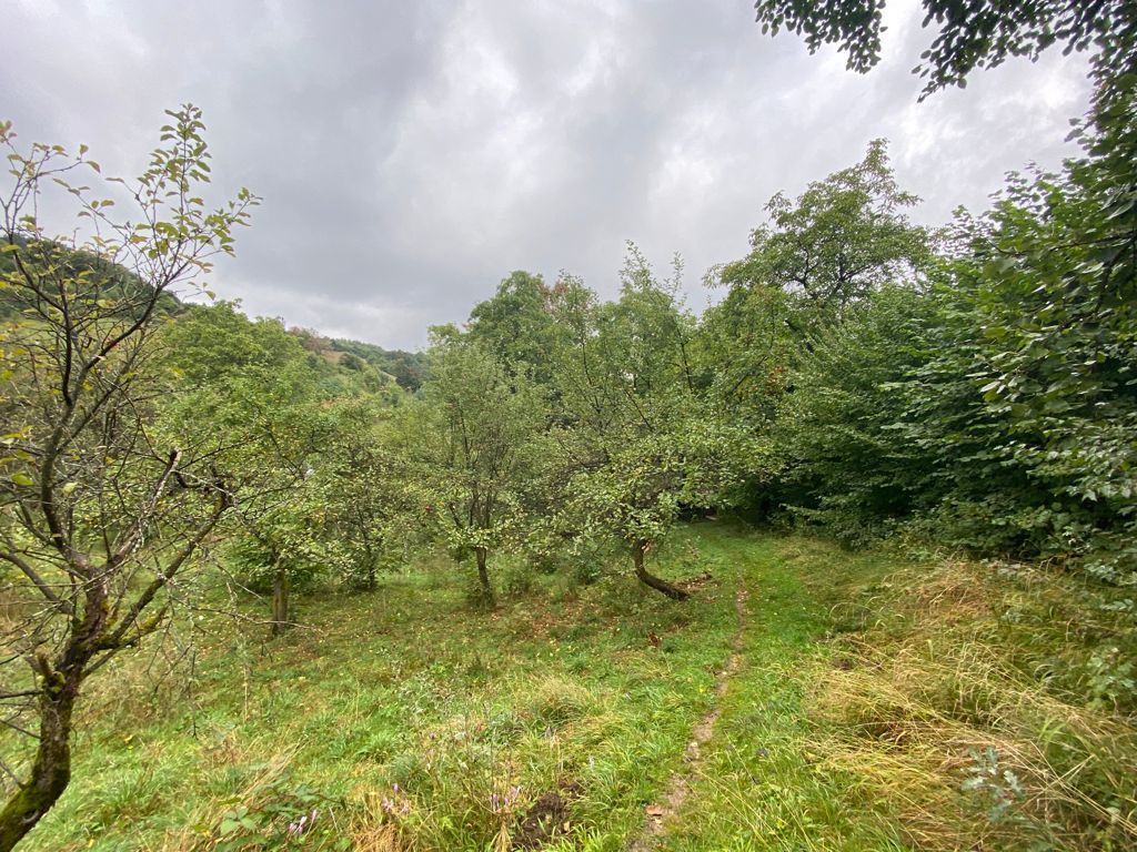 OPORTUNITATE TEREN DEZVOLTARE REȘEDINȚĂ IMOBILIARA DE LUX - Poză 7