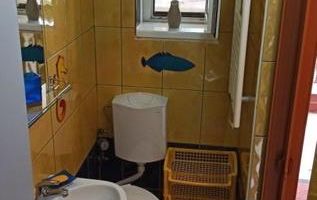 Garsonieră în vilă, terasă 10 mp, curte proprie, mobilată complet, Baba Novac - Poză 5