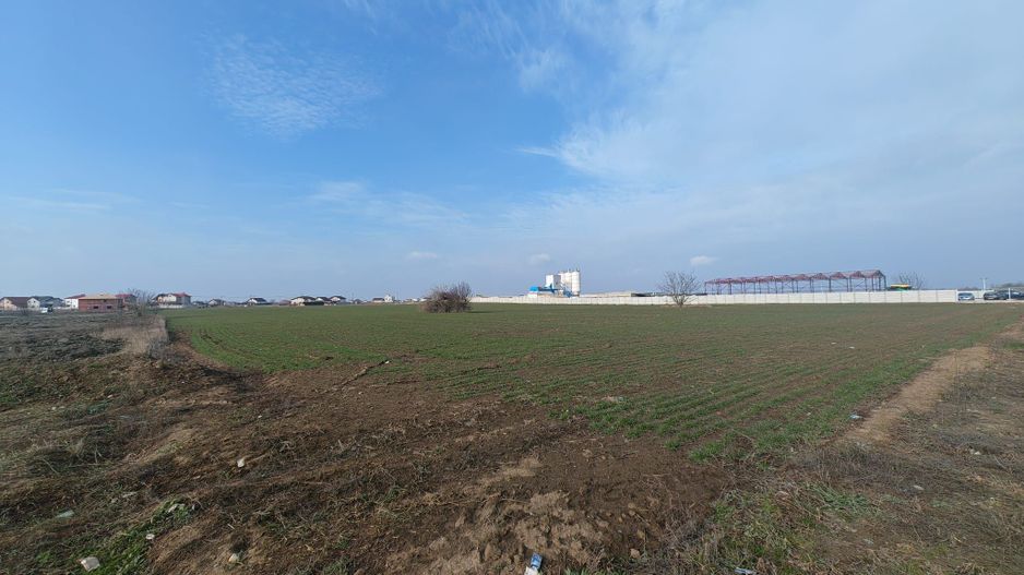Dragomiresti Valea - Langa Centura, teren 15.600 mp, 35E/mp - Poză 10