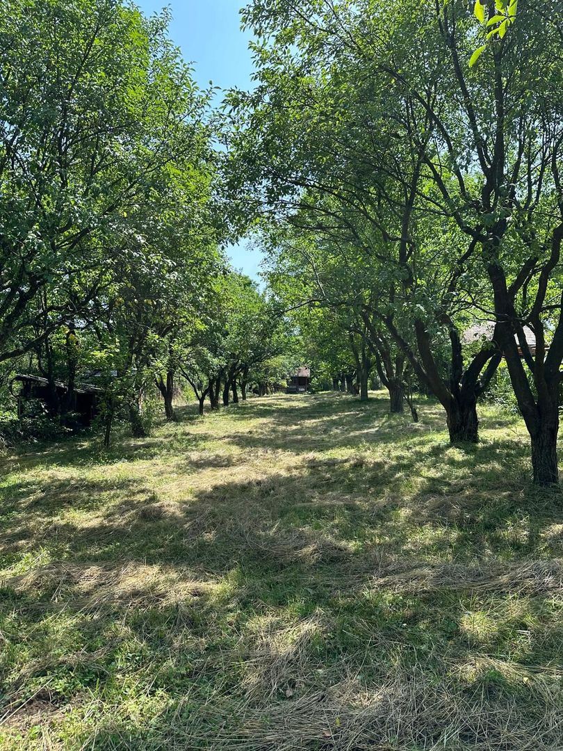 Teren 2000 mp, cu utilitati, pozitionare deosebita, Tocile - Poză 5