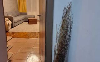 3 Camere Decomandat Renovat Pantelimon - Poză 3