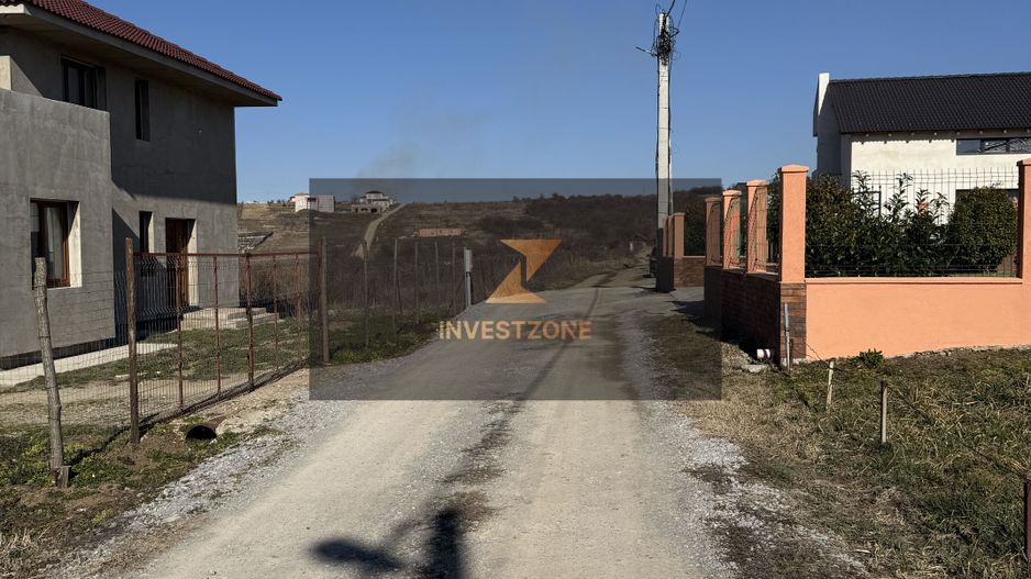 Teren intravilan Săldăbagiu De Munte - Poză 2