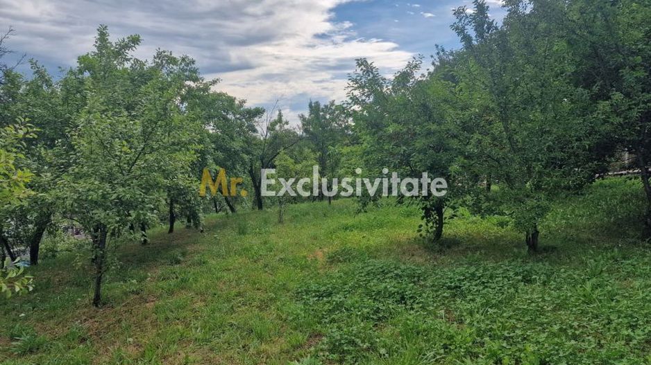 Teren intravilan  1400 mp - Albota ! - Poză 6