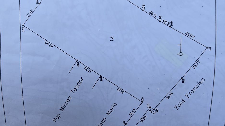 Teren Intravilan,5.000mp cu utilităti si proiect casă 12e mp - Poză 3