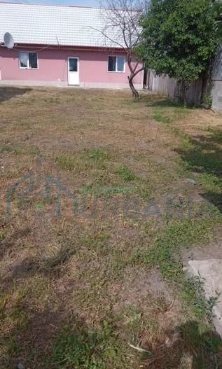 Casă de închiriat, Măcărești – 3 camere, curte 0.5 ha - Poză 10