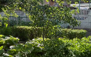 Casă de vânzare 4 camere - zona centrală, Bistrita - Poză 3