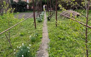 Casa individuala cu teren generos - Poză 16