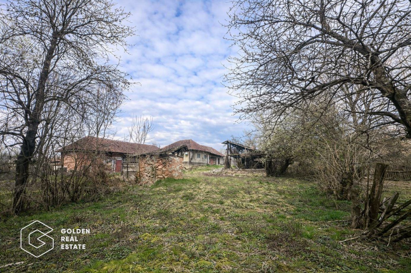 Casă cu teren generos 1.944 mp, Măgulicea, Vârfurile - Poză 16