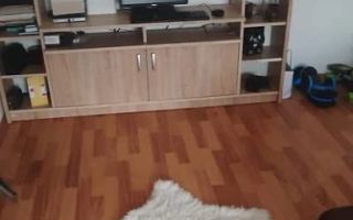 1 camera zona Lipovei - Poză 6