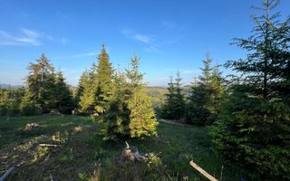 50 hectare teren | Moldova-Sulita | Potential turistic si agricol - Poză 11