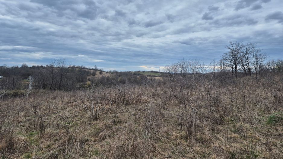 Vand 2 parcele de 5700 mp zona Iabalcea - Poză 7