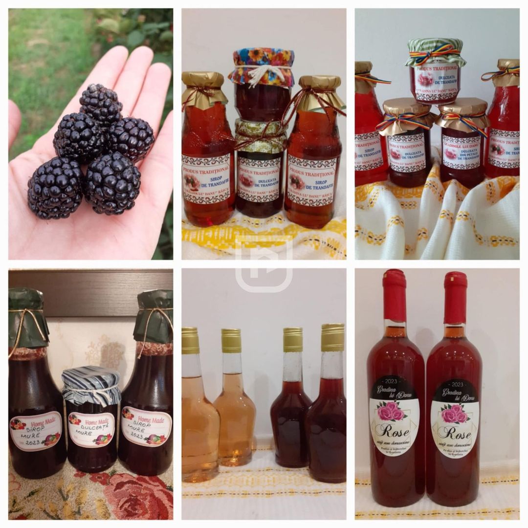 Ferma agricola, plantatii de mure, trandafiri, vita-de-vie - Poză 16