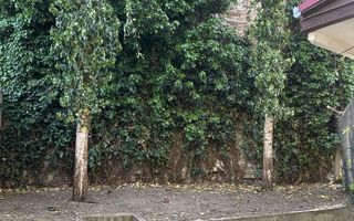 De vânzare apartament 2 camere, ultracentral, Satu Mare - Poză 2