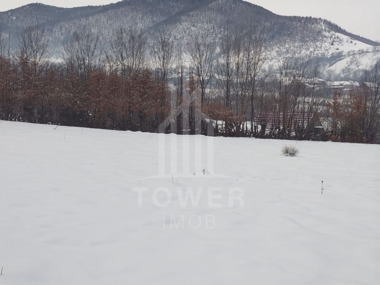 Teren intravilan 2.295 mp, deschidere 60 m – Rășinari, comision 0% - Poză 10