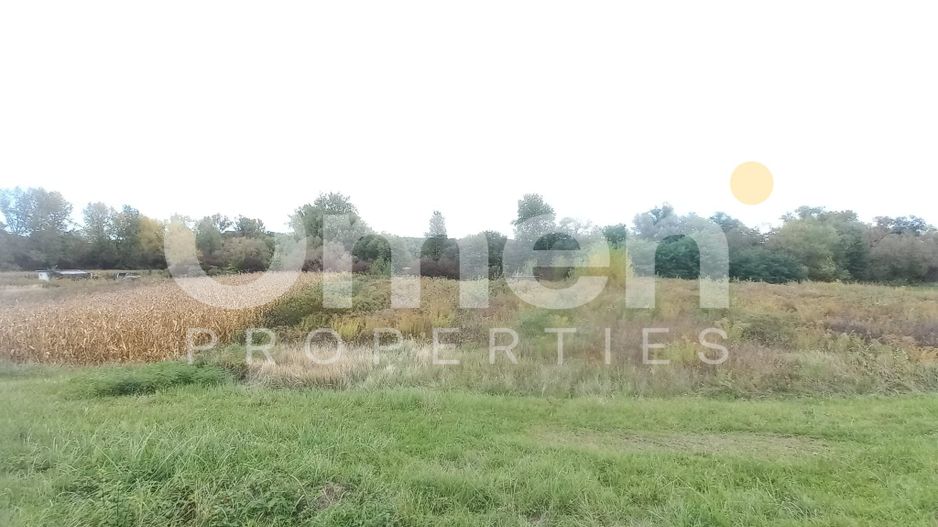 Teren extravilan de 7 arii de vânzare în Cătălina – ideal pentru casă de vacanță - Poză 3