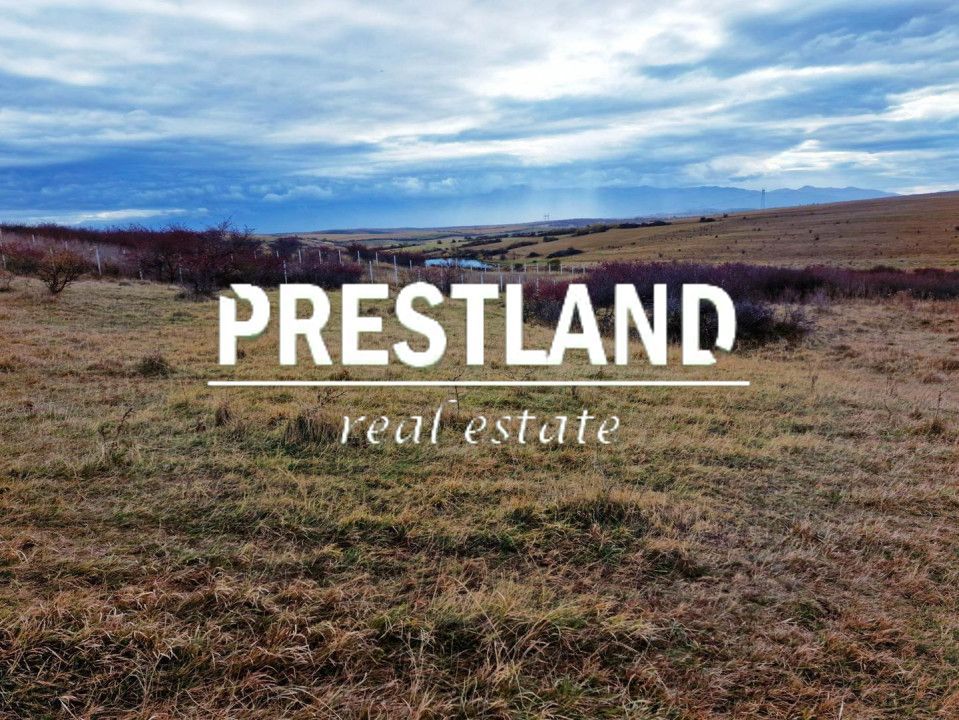 Teren extravilan situat în zona Bavaria!! - Poză 3