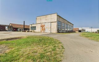 Complex industrial cu hale și teren  în Orțișoara - Poză 20