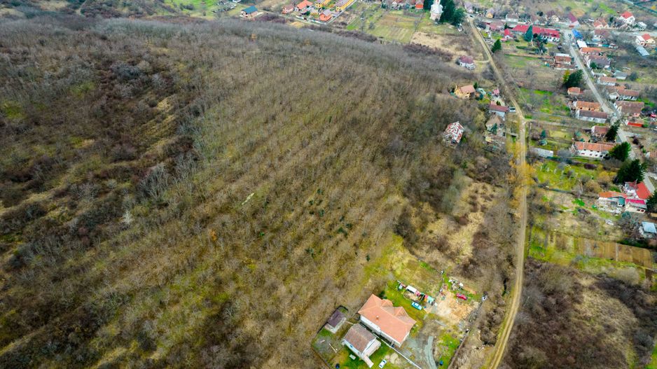 Teren intravilan Miniș - Poză 10