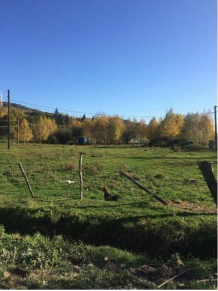 Teren Leresti - Poză 2