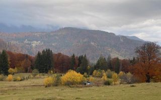 Teren intravilan de 79.915 mp în zona Trei Brazi – Predeal, Brașov - Poză 4