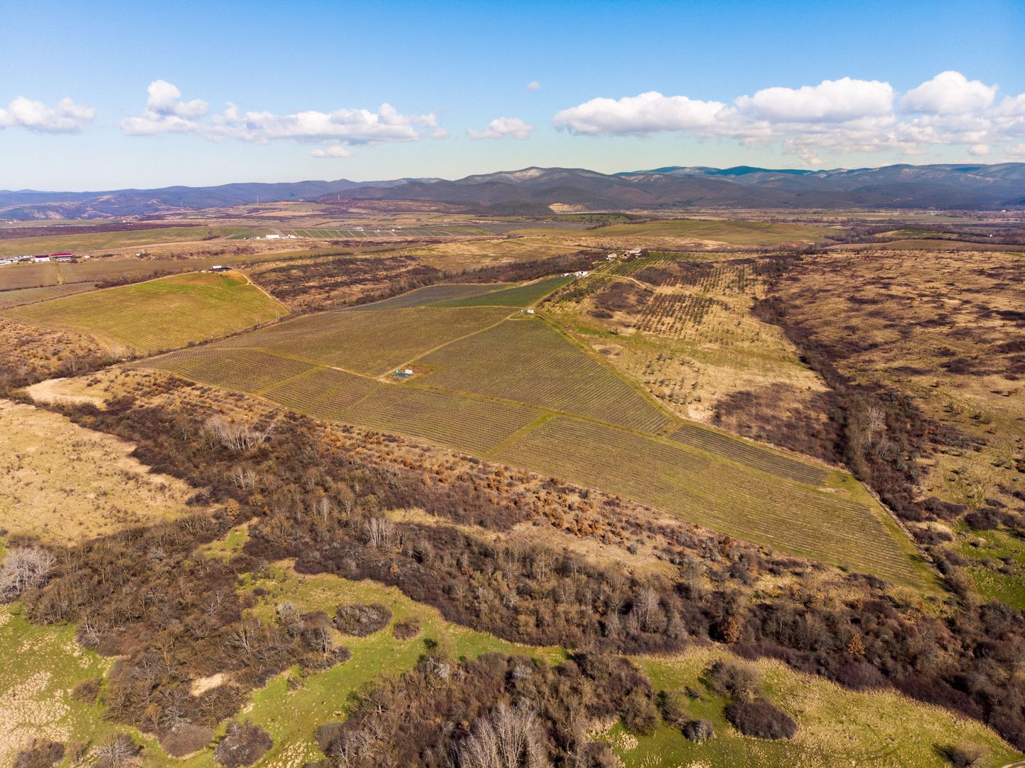 Plantație Bio de mure și zmeură  26,4 ha în Lipova - Poză 11