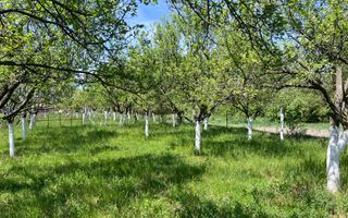 Casă de vacanță + livadă | teren 3000 mp | Chijic | Bihor - Poză 15