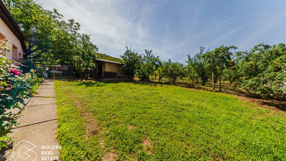 Casa din caramida, P+E, in Siria, teren 1878 mp, comision 0% - Poză 31