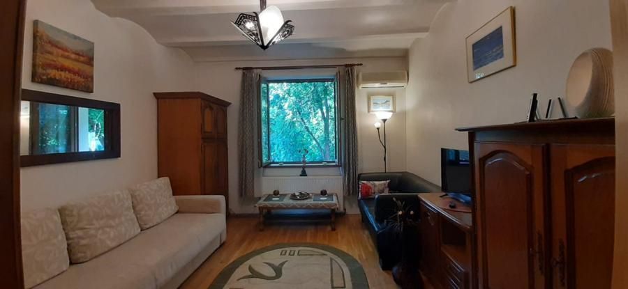 Garsonieră în vilă, terasă 10 mp, curte proprie, mobilată complet, Baba Novac - Poză 2