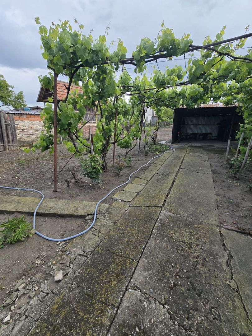 🏡 Casă renovată cu teren generos – Ciacova, Timiș, 800 mp teren - Poză 8